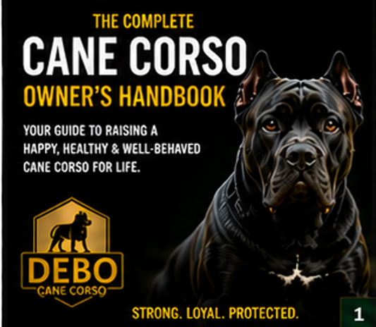 The Complete Cane Corso Owner's Handbook | Digital Care & Training Guide - Digital Download